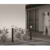 Ландшафтный светильник  Maytoni Outdoor Amas O432FL-01GF1