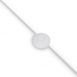 Напольный светильник (торшер) Maytoni Calvin Z177FL-01W