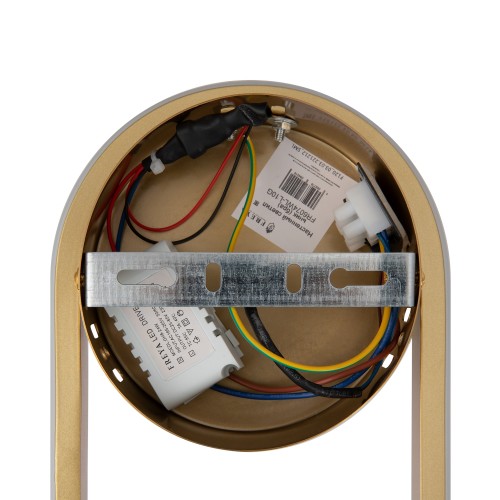 Настенный светильник (бра) Freya FR6074WL-L10G