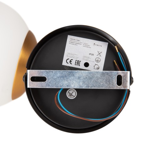 Настенный светильник (бра) Freya FR8016WL-01BBS1