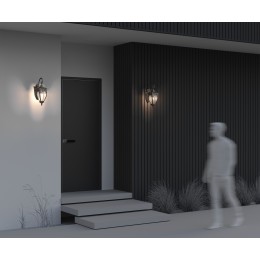 Настенный светильник (бра)  Maytoni Outdoor  Fleur O414WL-01GB