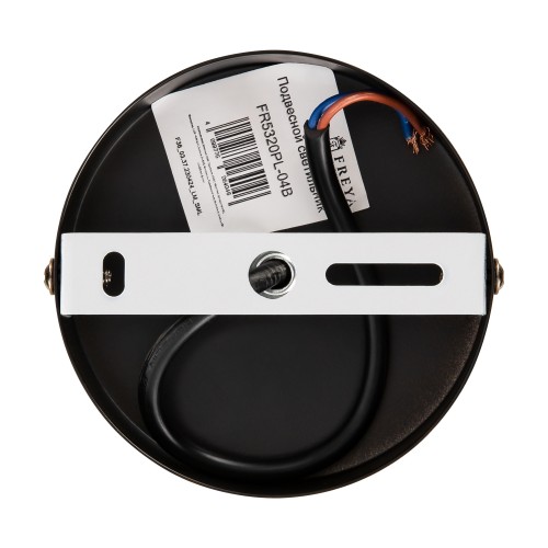 Подвесной светильник Freya FR5320PL-04B