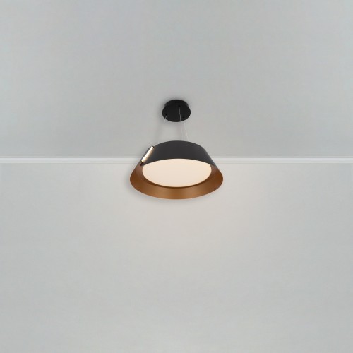 Подвесной светильник Freya FR6092PL-L72GB