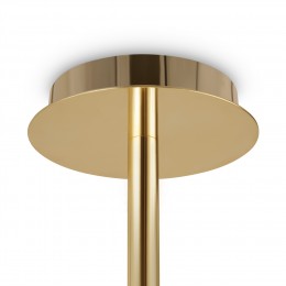 Потолочный светильник Freya FR1010CL-06G