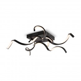 Потолочный светильник Freya FR6022CL-L50B