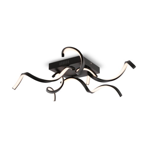 Потолочный светильник Freya FR6022CL-L50B