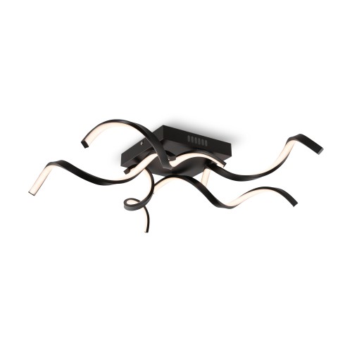 Потолочный светильник Freya FR6022CL-L50B