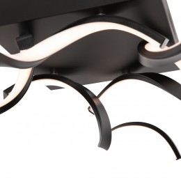 Потолочный светильник Freya FR6022CL-L50B