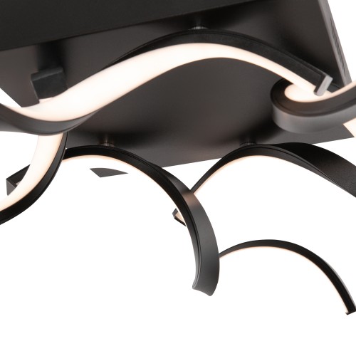 Потолочный светильник Freya FR6022CL-L50B