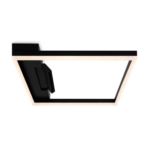 Потолочный светильник Freya FR6084CL-L82B