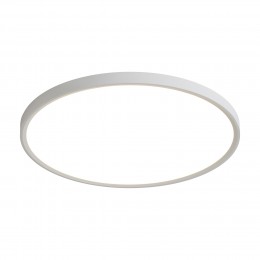 Потолочный светильник Freya FR6161CL-L40W