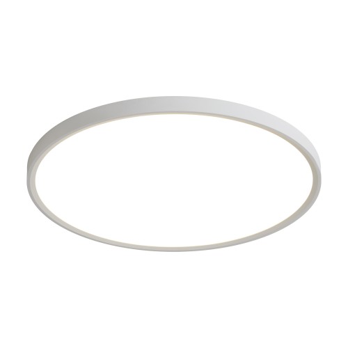 Потолочный светильник Freya FR6161CL-L40W