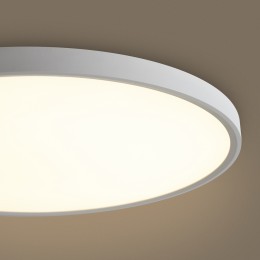 Потолочный светильник Freya FR6161CL-L40W