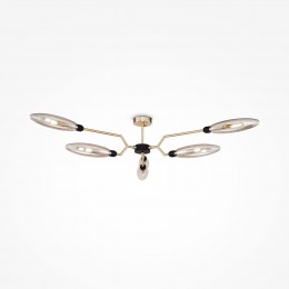 Потолочный светильник Maytoni Ventura MOD012CL-06G