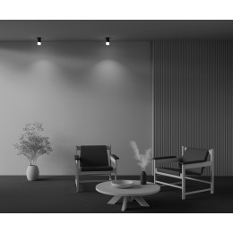 Потолочный светильник Technical C007CW-01B