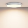 Потолочный светильник Technical C032CL-90W3K-RD-W