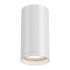 Потолочный светильник Technical C052CL-01W