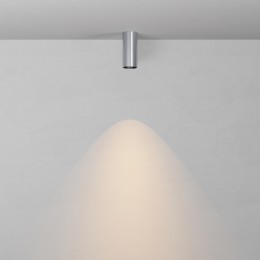 Потолочный светильник Technical C056CL-L12W2.7K-W-PT