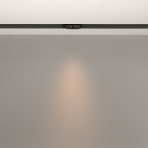 Трековый светильник Technical TR100-2-2W3K-S-B