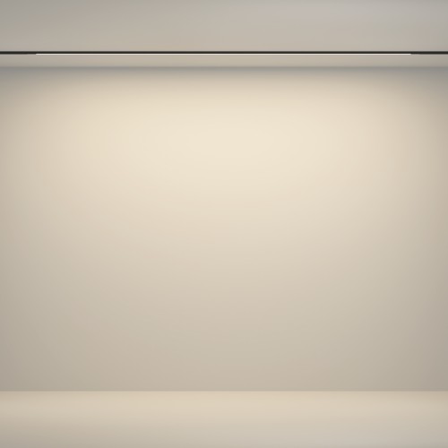 Трековый светильник Technical TR180-1-24WTW-B