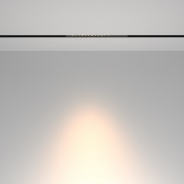 Трековый светильник Technical TR232-2-10W3K-B