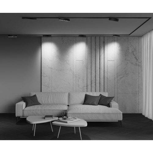 Трековый светильник Technical TR242-4-12WTW-DSZ-B