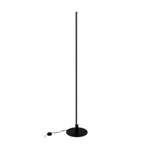 Напольный светильник (торшер) Freya FR6122FL-L22B