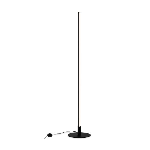 Напольный светильник (торшер) Freya FR6122FL-L22B