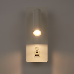 Настенный светильник (бра) Freya FR5341WL-L3W