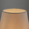 Настольный светильник Freya FR5371TL-01BS