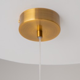 Подвесной светильник Maytoni Biology MOD367PL-L3BSK