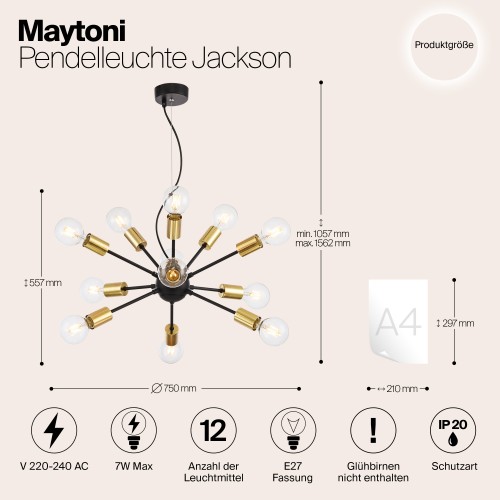 Подвесной светильник Maytoni Jackson T546PL-12B