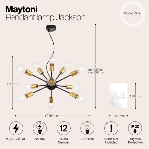 Подвесной светильник Maytoni Jackson T546PL-12B