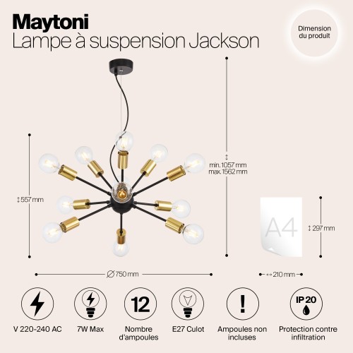 Подвесной светильник Maytoni Jackson T546PL-12B