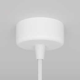 Подвесной светильник Technical P038PL-01W