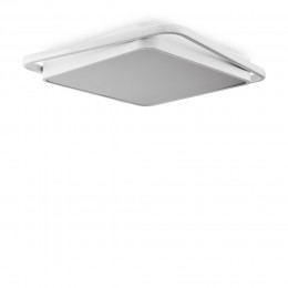 Потолочный светильник Freya FR10030CL-L88W