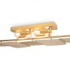 Потолочный светильник Freya FR5572CL-04G