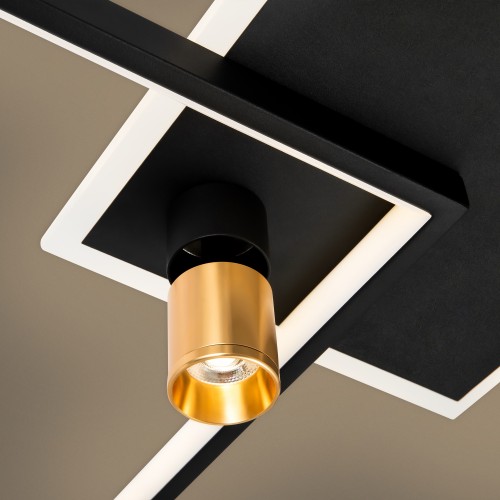 Потолочный светильник Freya FR6042CL-L76BBS