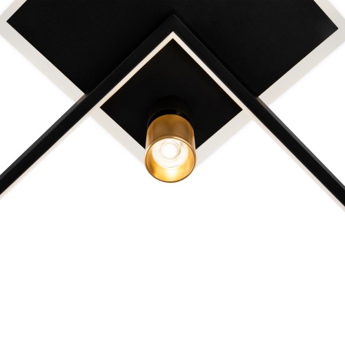 Потолочный светильник Freya FR6042CL-L76BBS