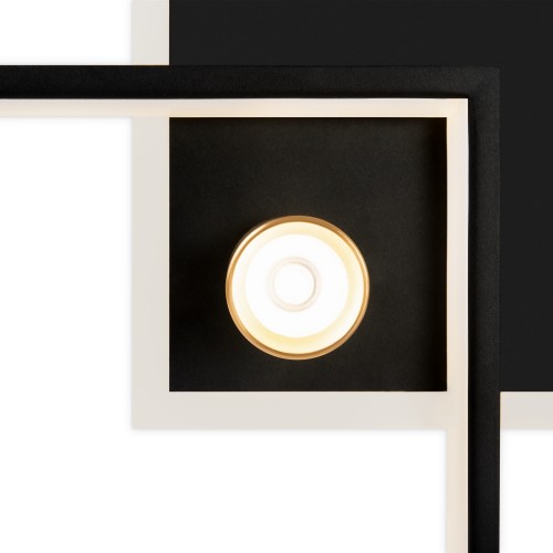 Потолочный светильник Freya FR6042CL-L76BBS