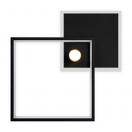 Потолочный светильник Freya FR6042CL-L76BBS