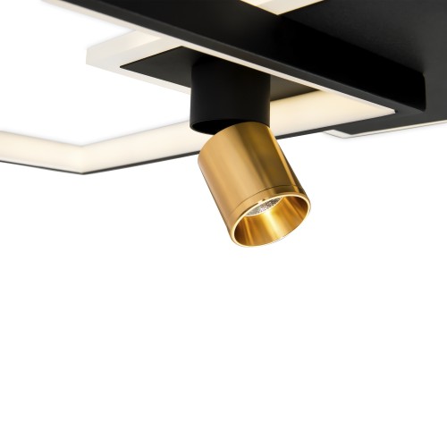 Потолочный светильник Freya FR6042CL-L76BBS