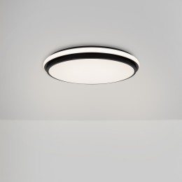 Потолочный светильник Freya FR6086CL-L117B