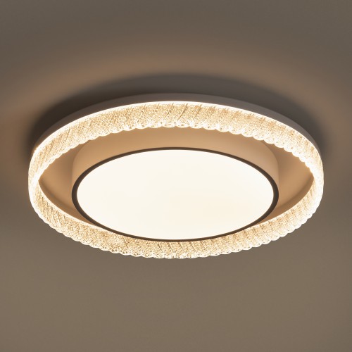 Потолочный светильник Freya FR6243CL-L109W