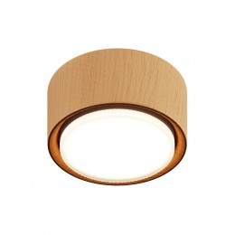 Потолочный светильник NUVOLT LDL-008RW