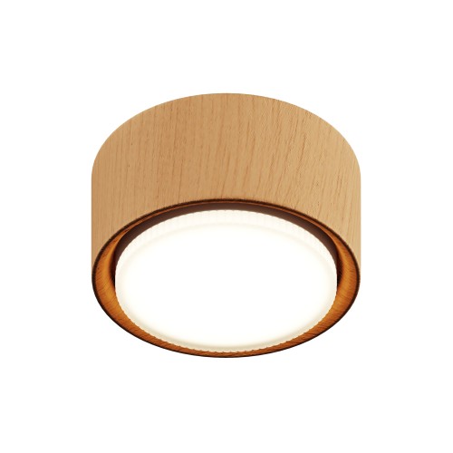 Потолочный светильник NUVOLT LDL-008RW