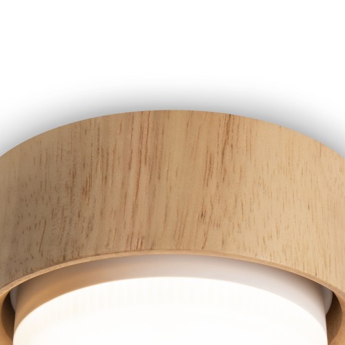 Потолочный светильник NUVOLT LDL-008RW