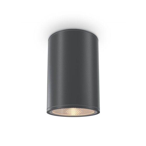 Потолочный светильник  Maytoni Outdoor Bar O306CL-L12GF