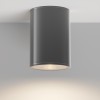 Потолочный светильник  Maytoni Outdoor Bar O306CL-L12GF