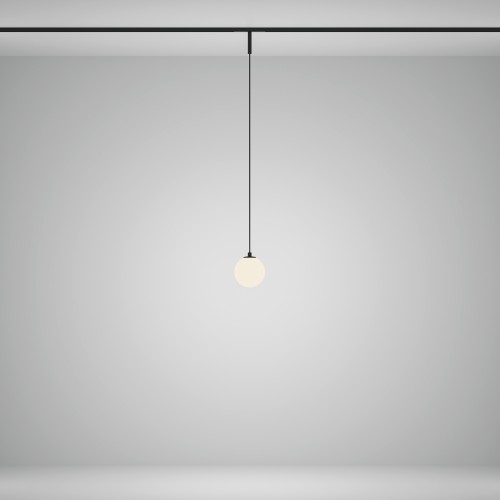 Трековый подвесной светильник Technical TR178-1-5WTW-B